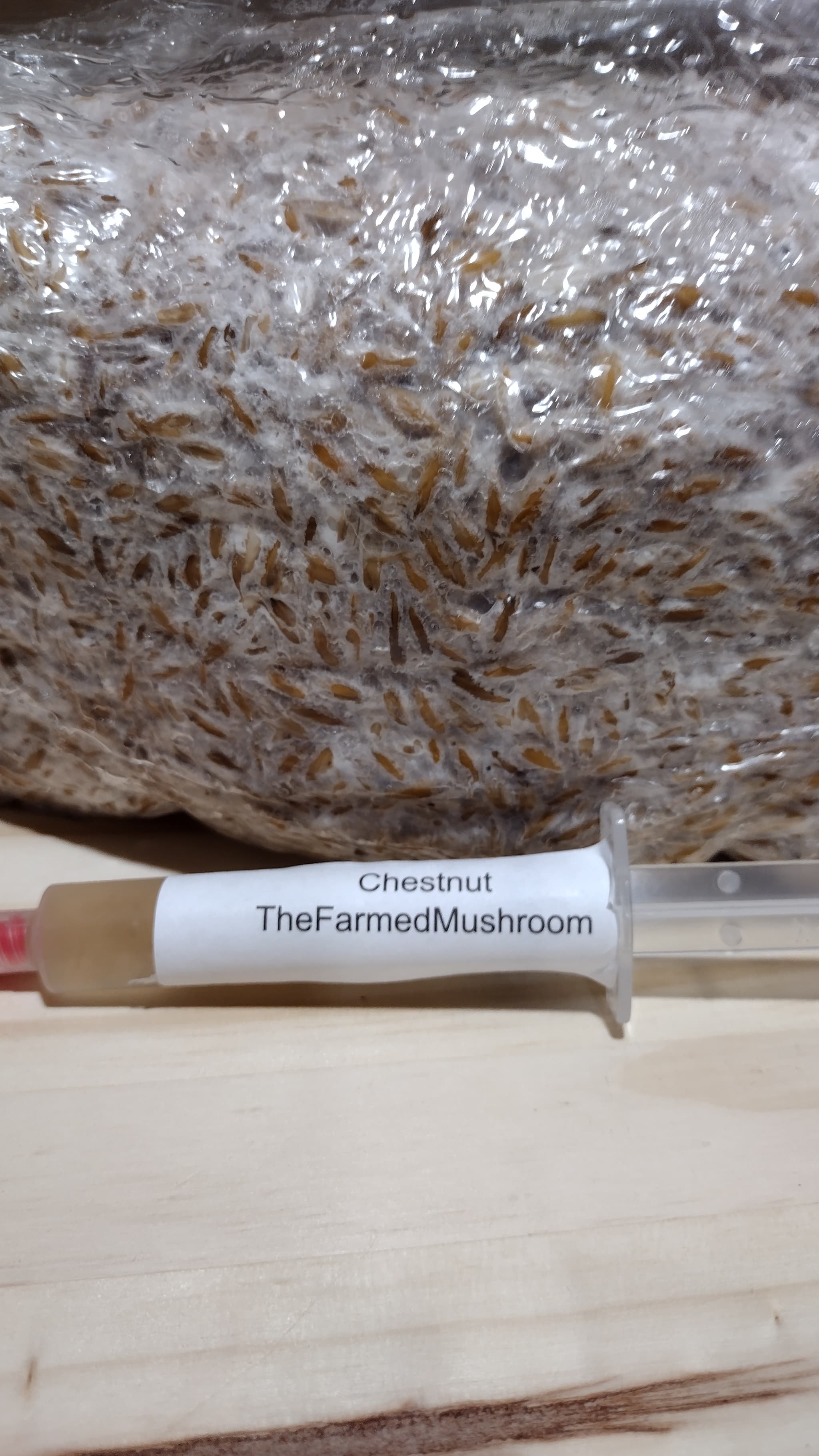 Product image #4