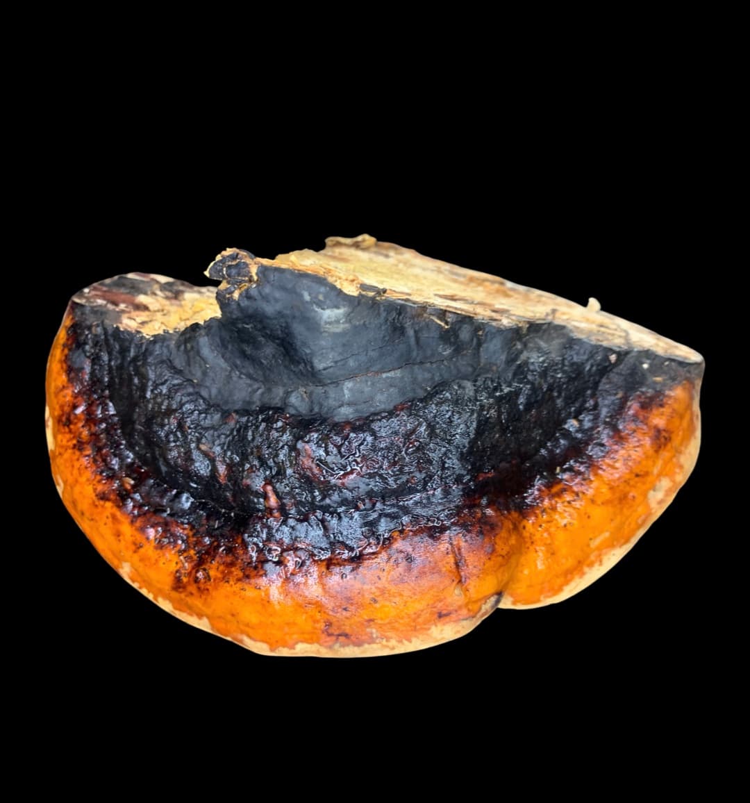 Product image #4