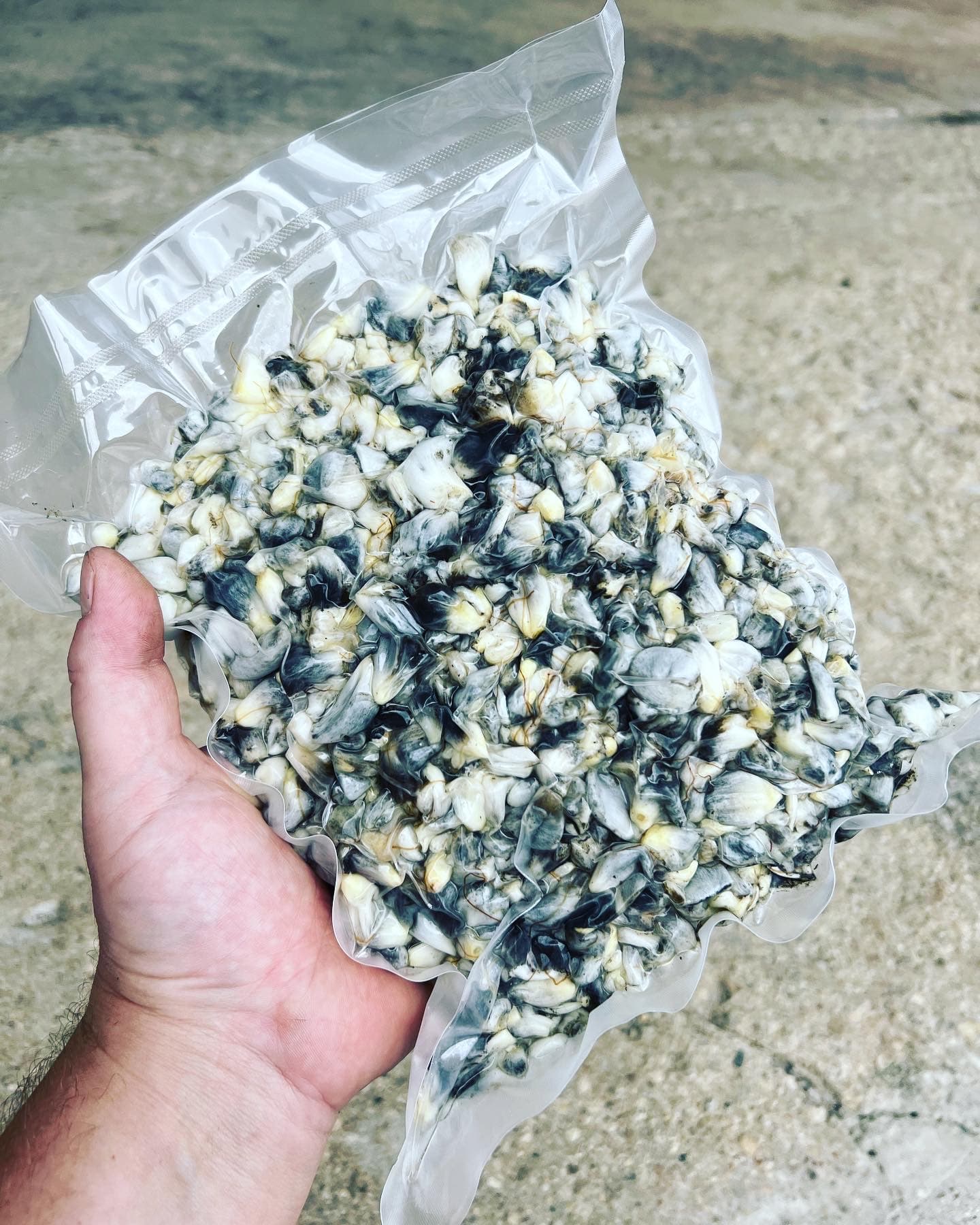Product image #1