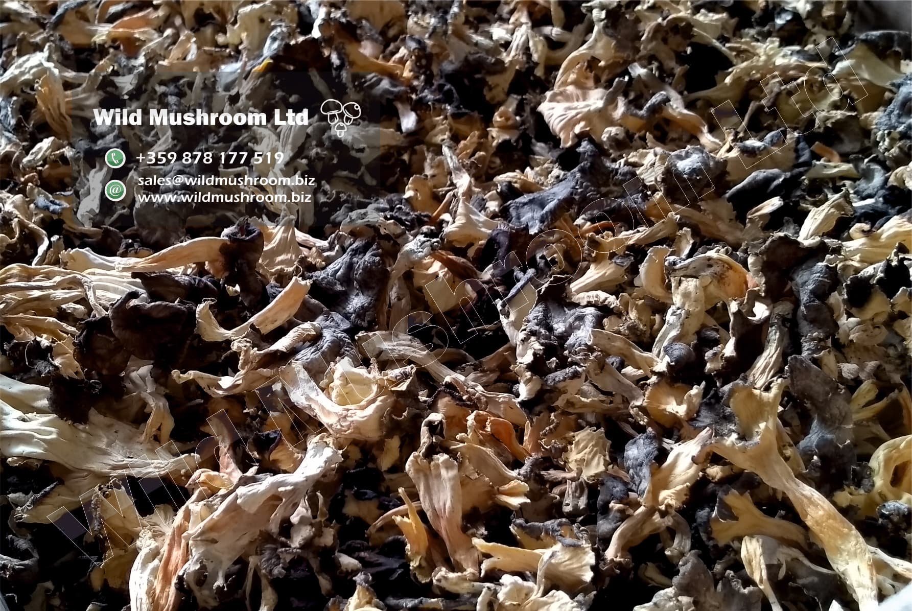 Product image #3