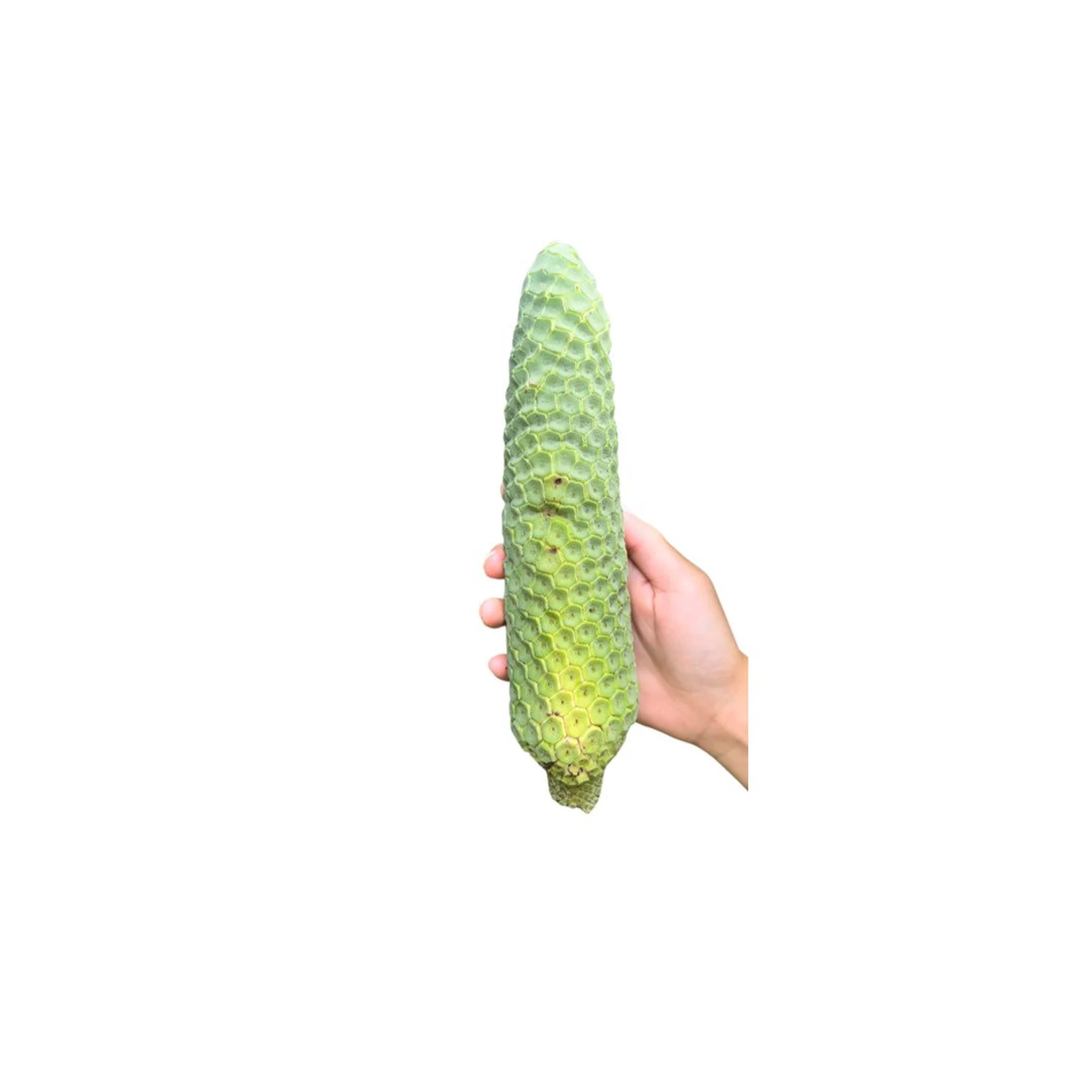 Product image #1