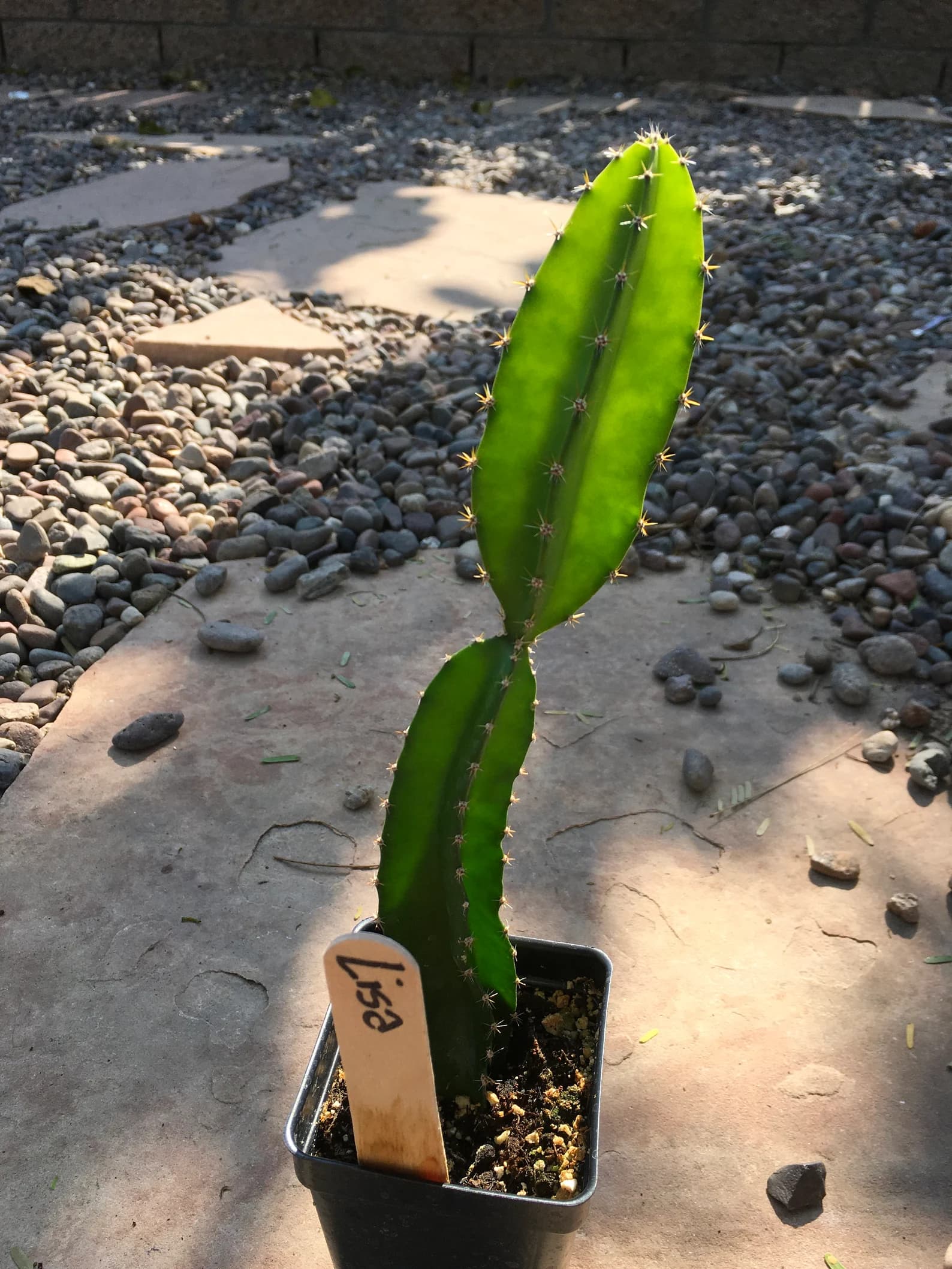 Product image #1