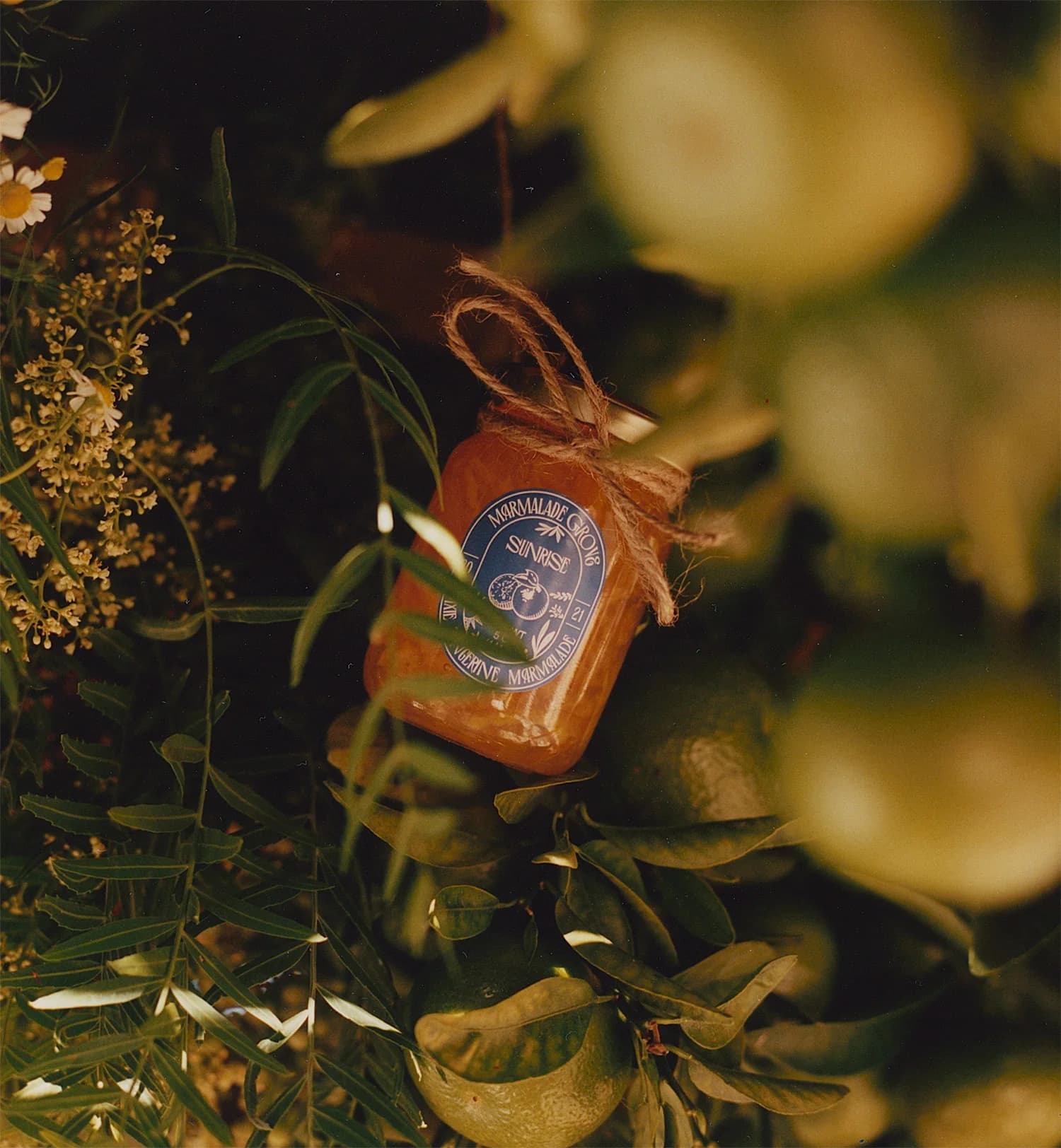 Product image #2