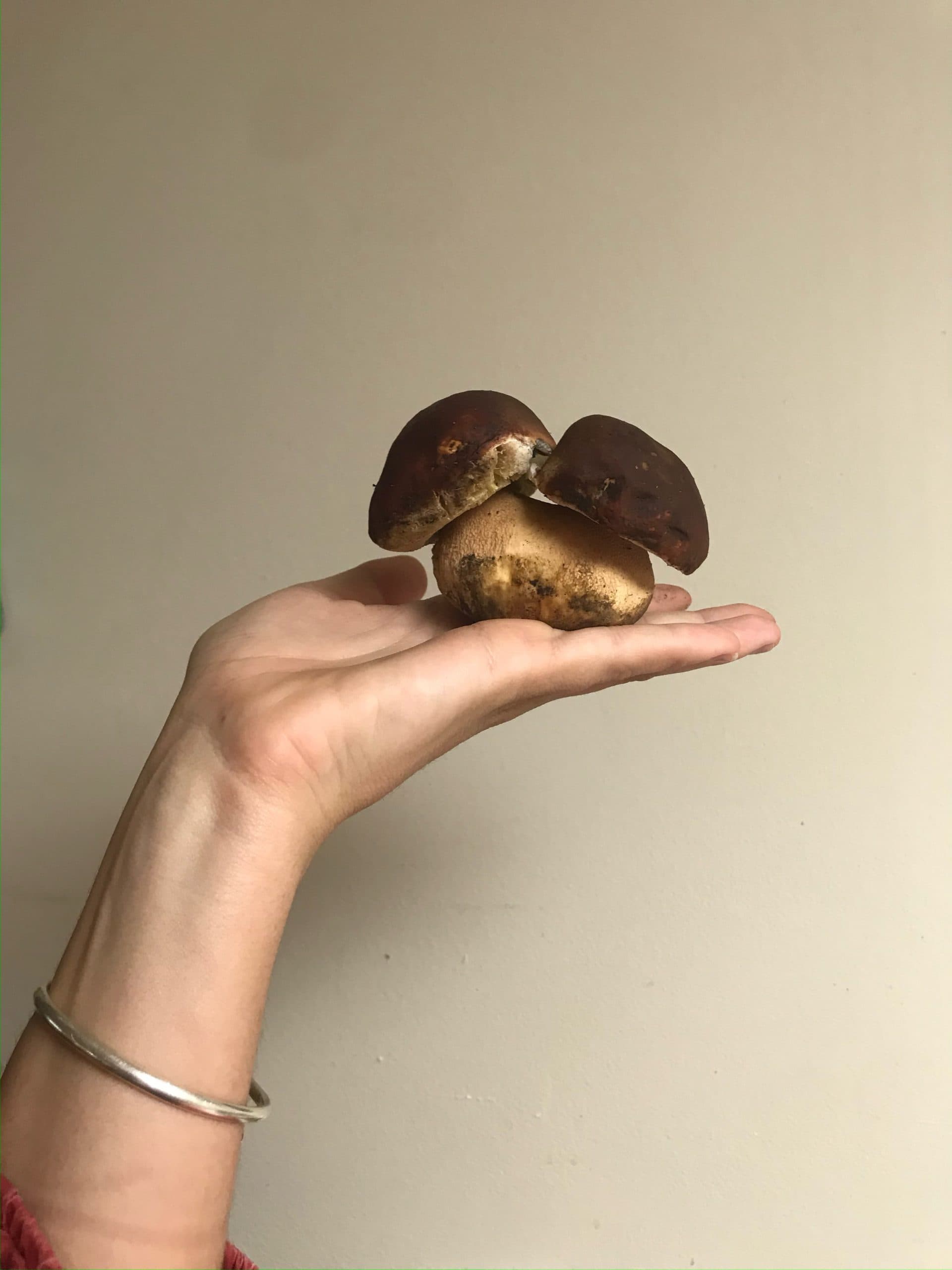 Product image #4