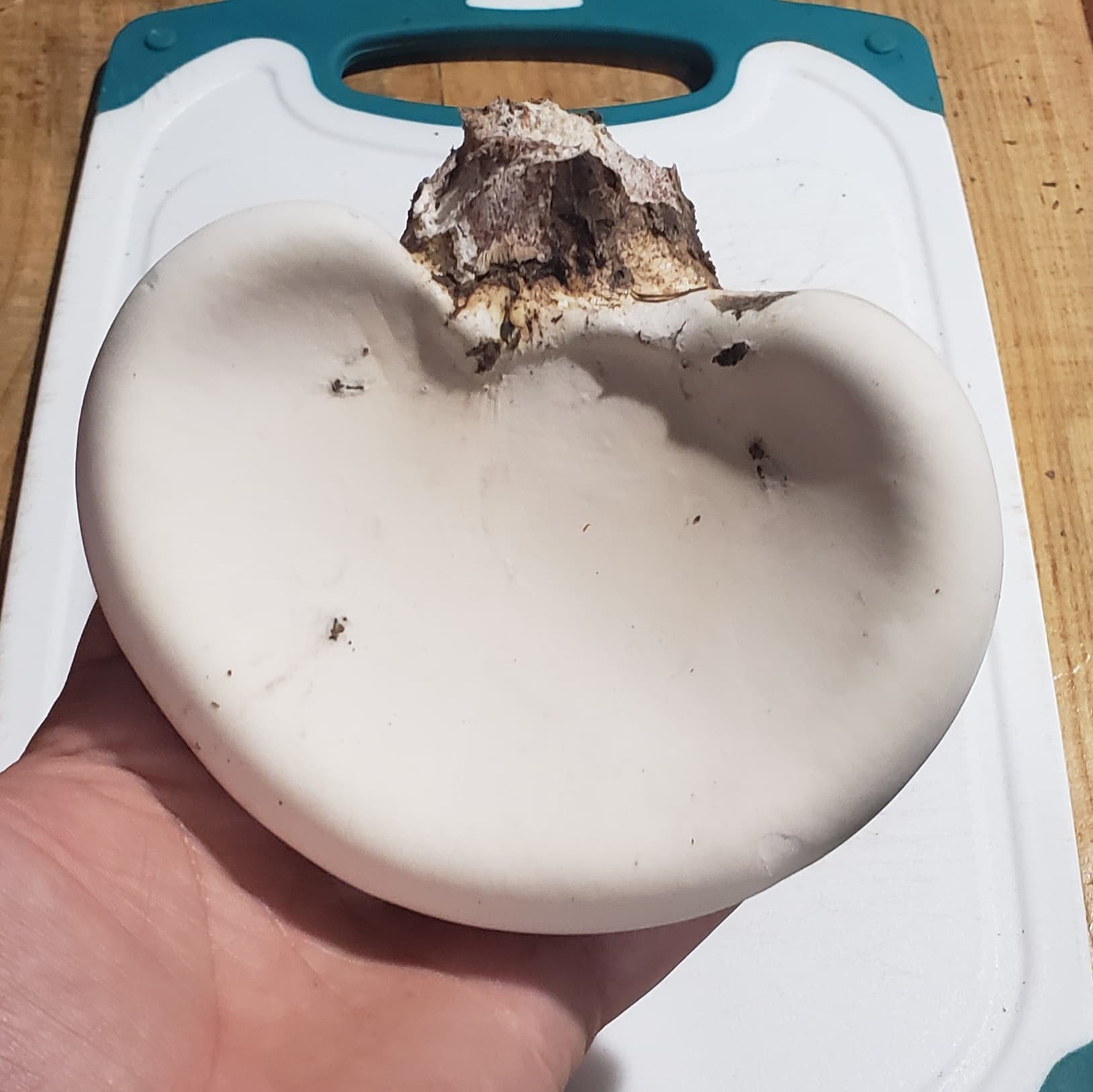 Product image #6