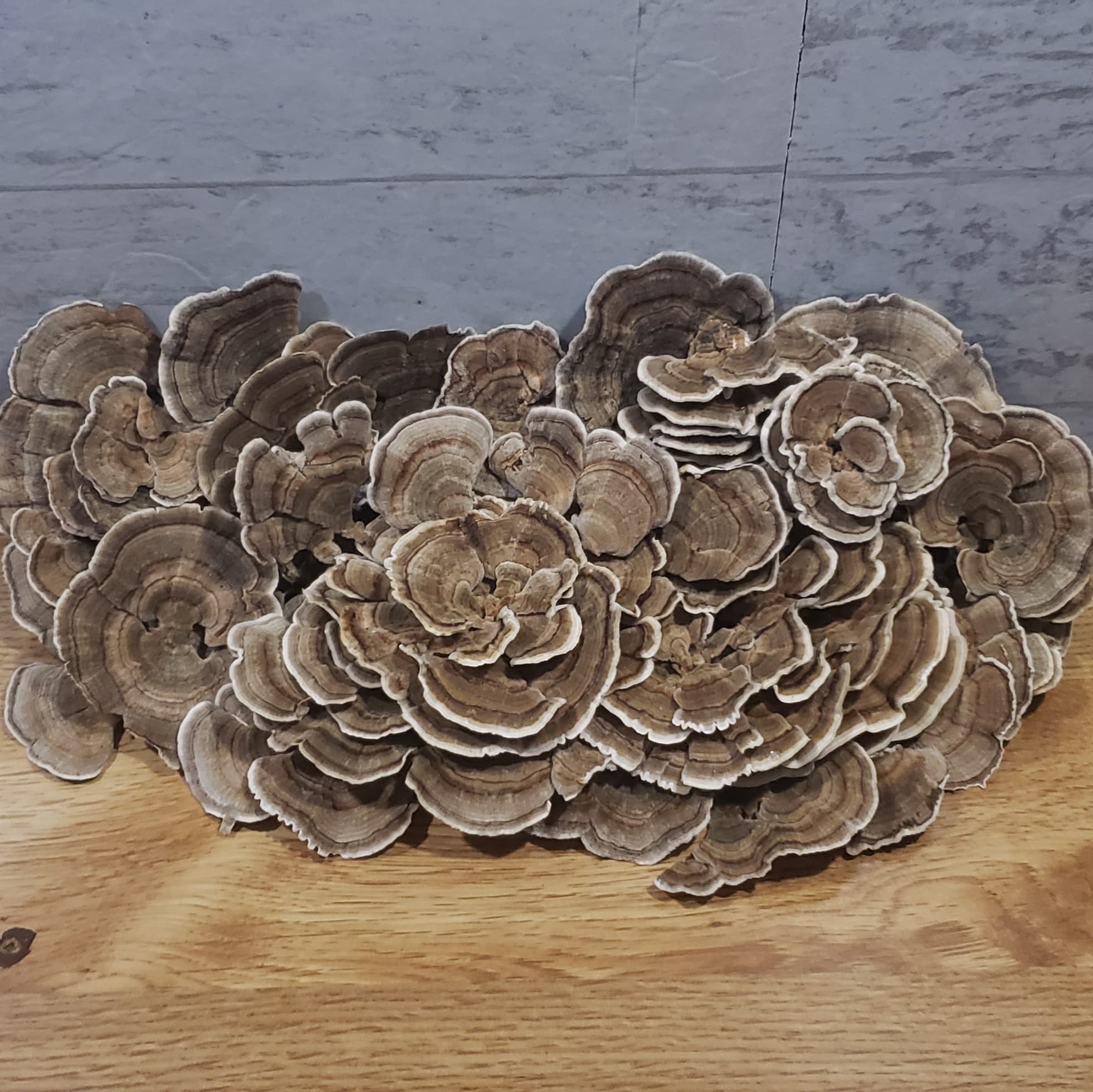 Product image #1