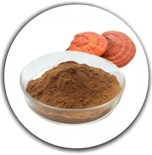 Product image #1