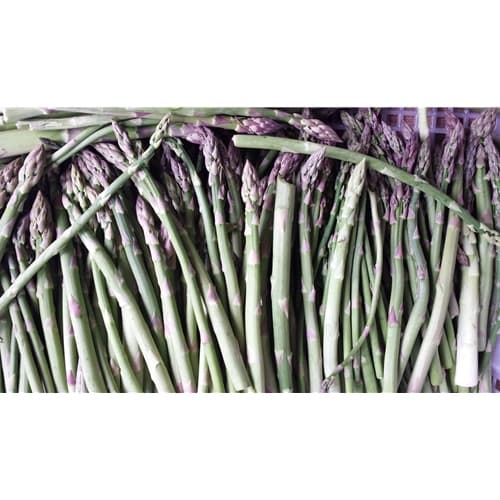 Product image #1