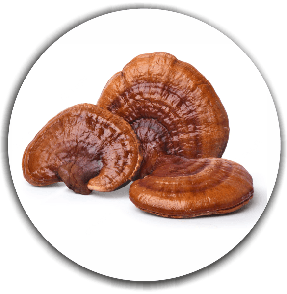 Product image #1