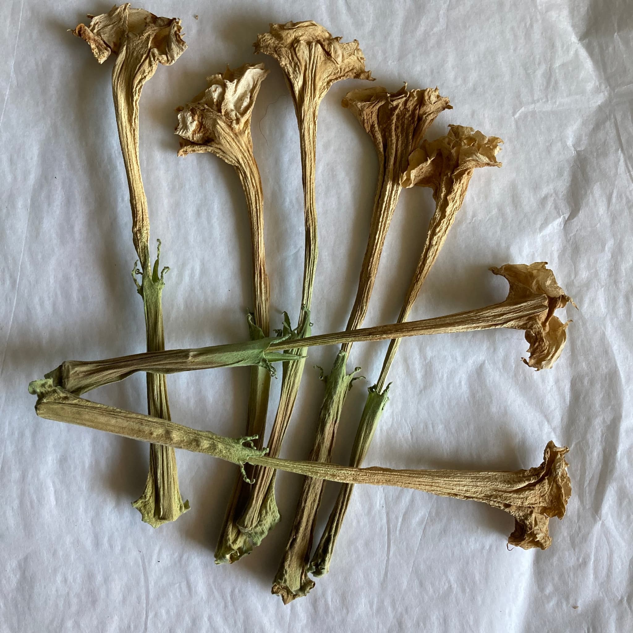 Product image #2