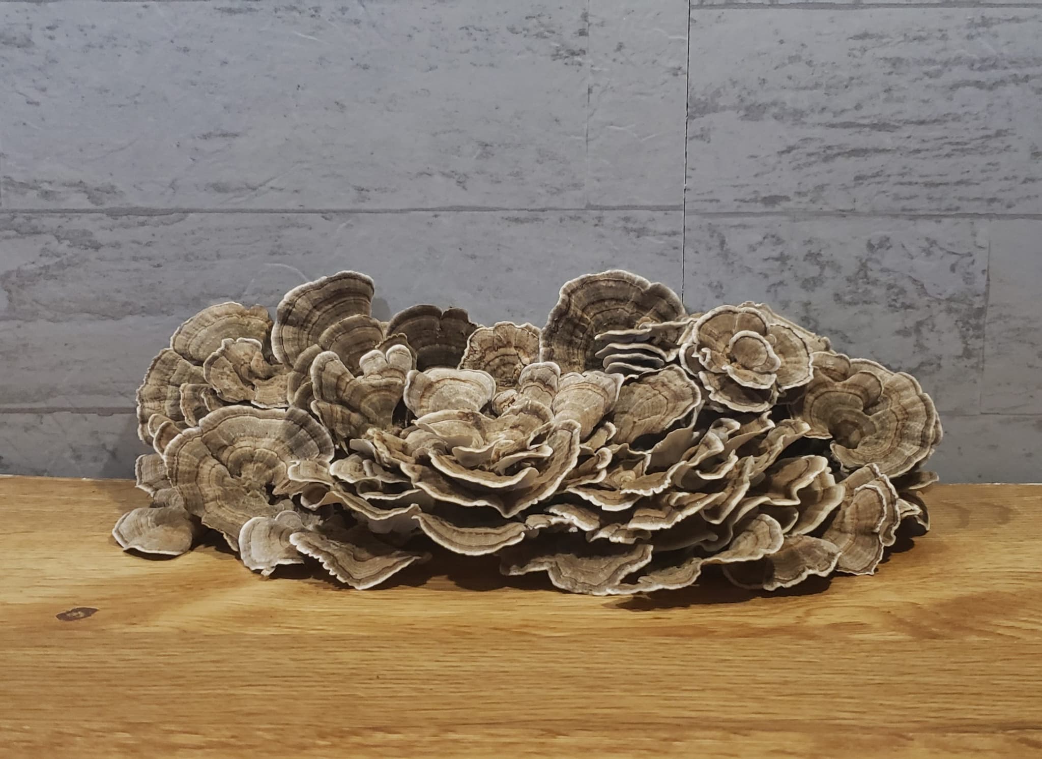 Product image #4
