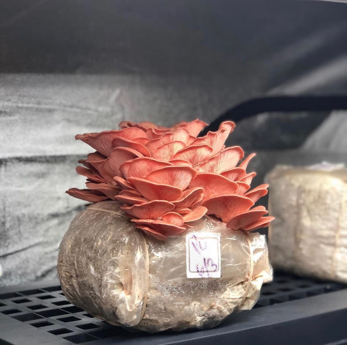 Product image #3