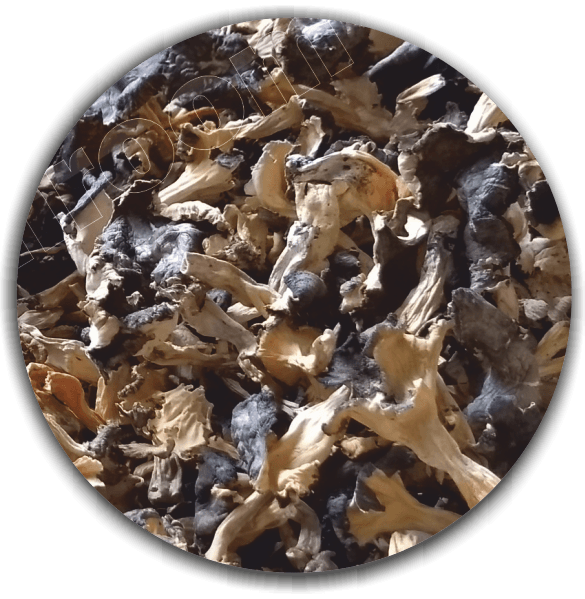 Product image #1
