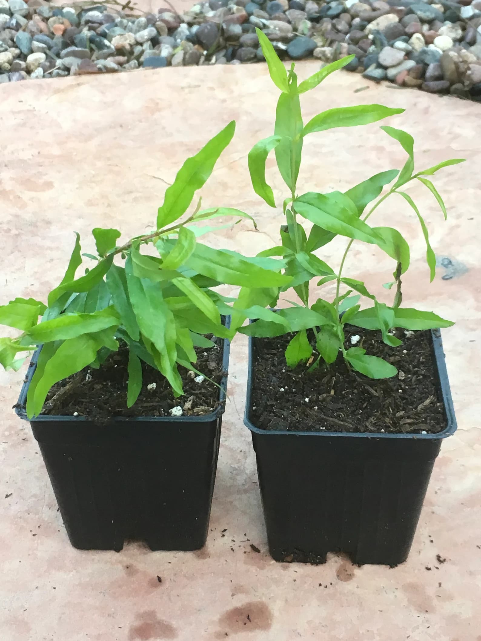 Product image #2