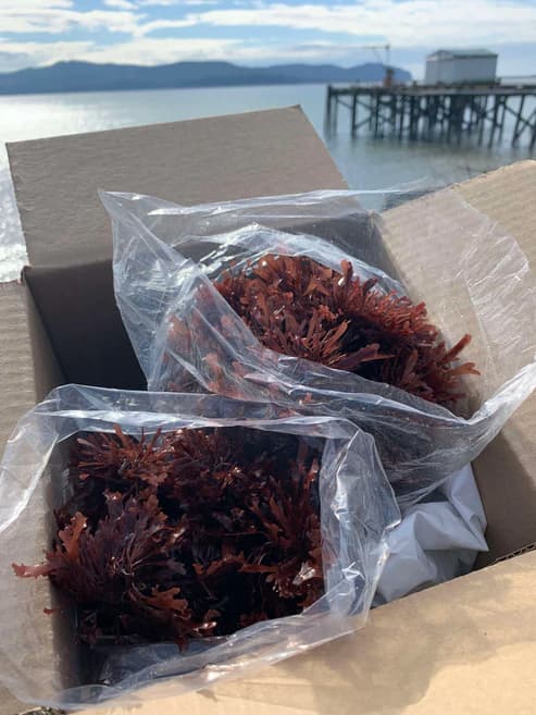 Product image #7