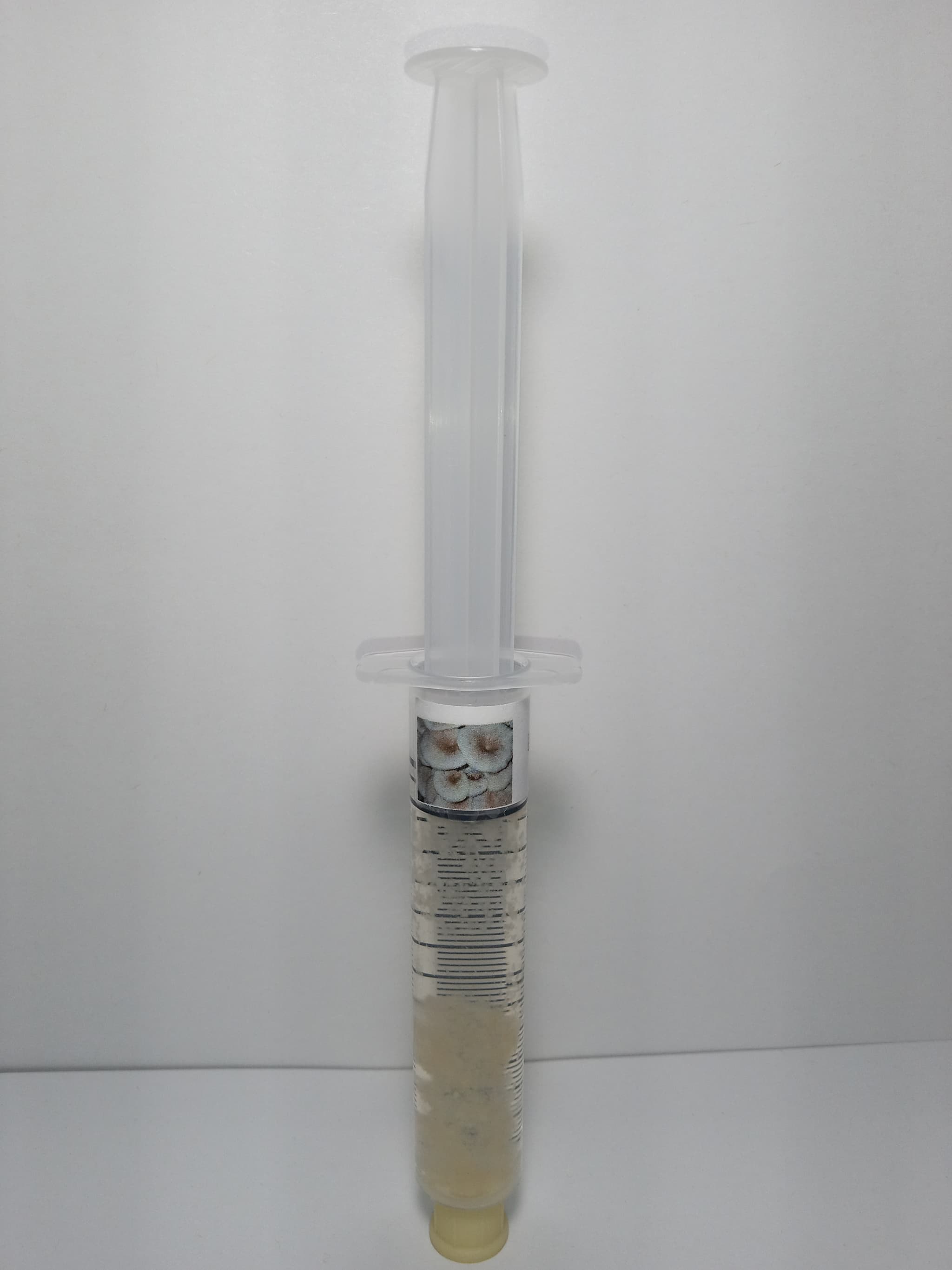 Product image #1