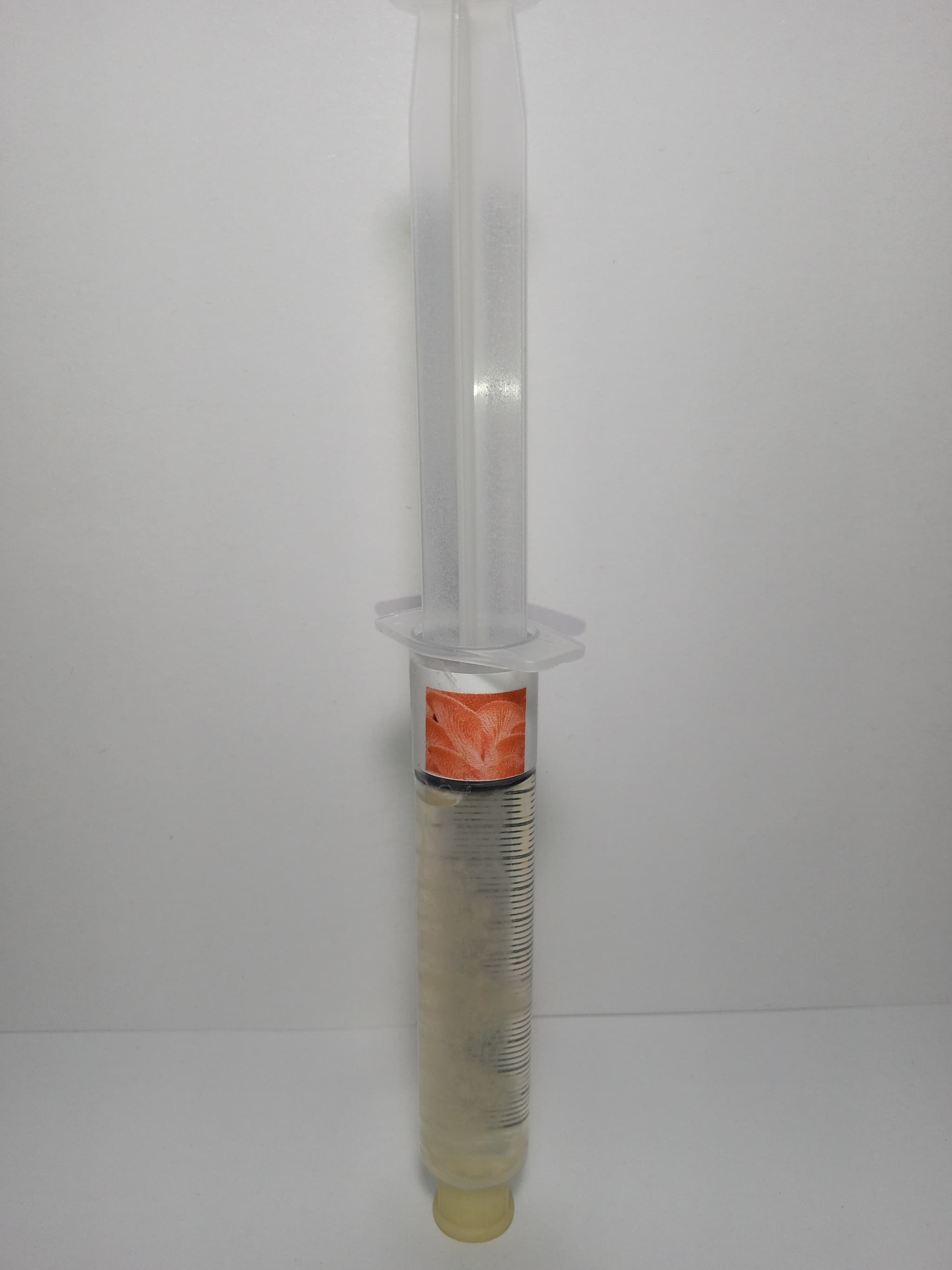 Product image #1