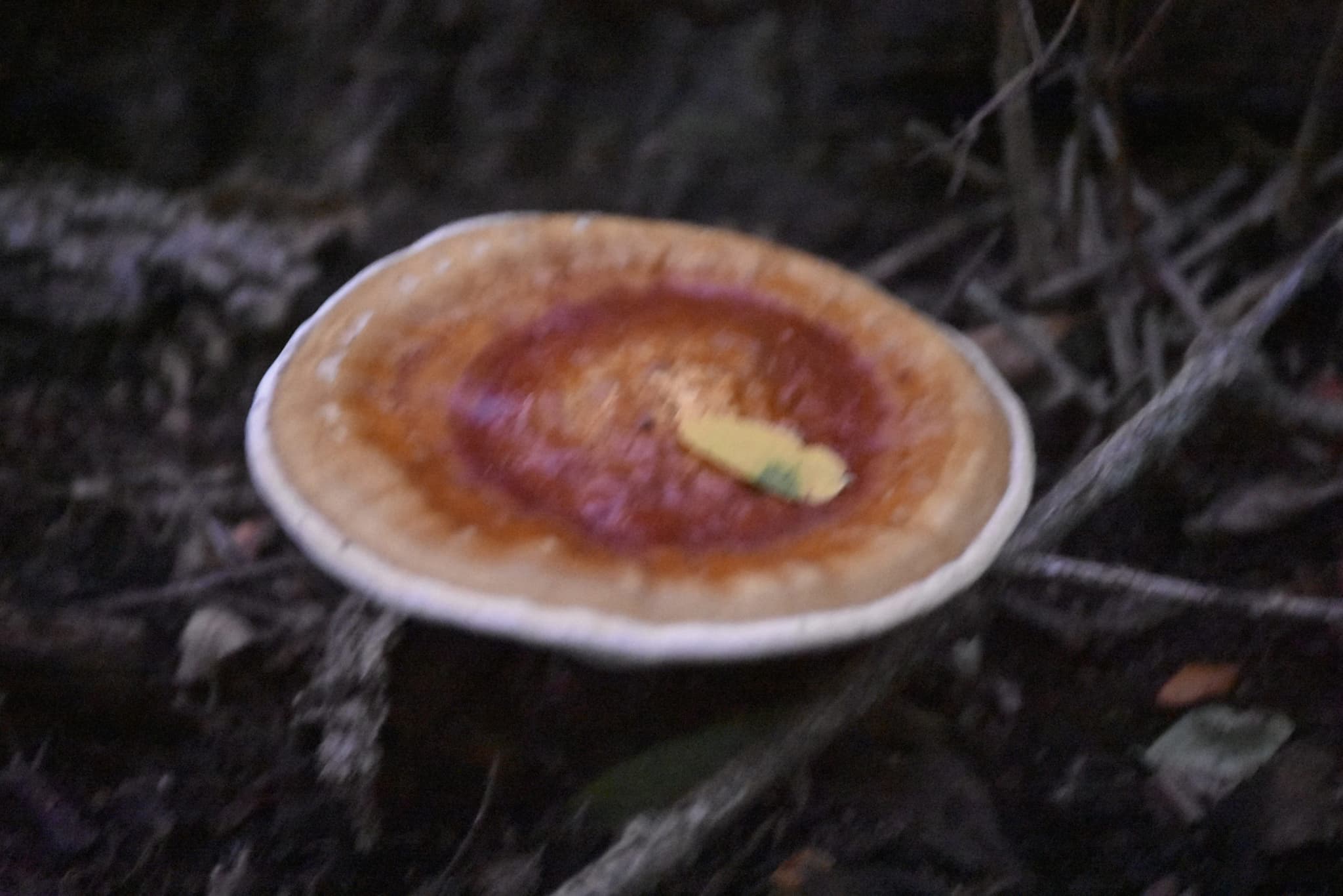 Product image #1