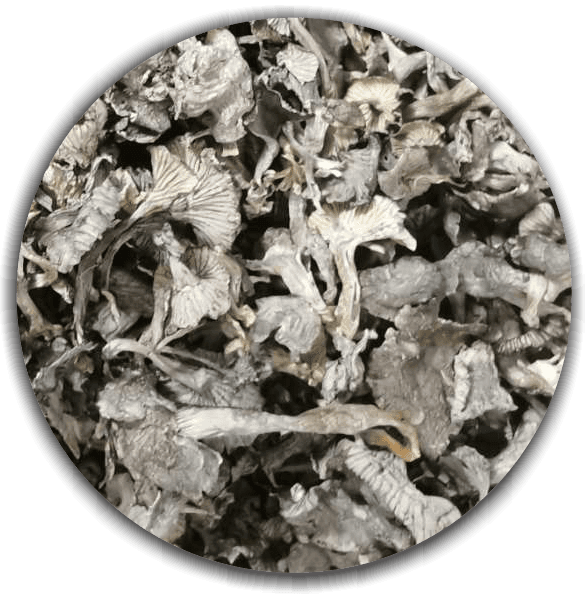 Product image #1