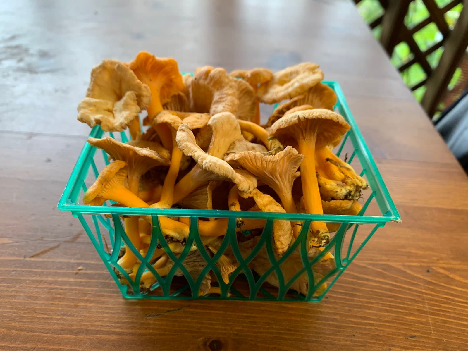 Product image #1
