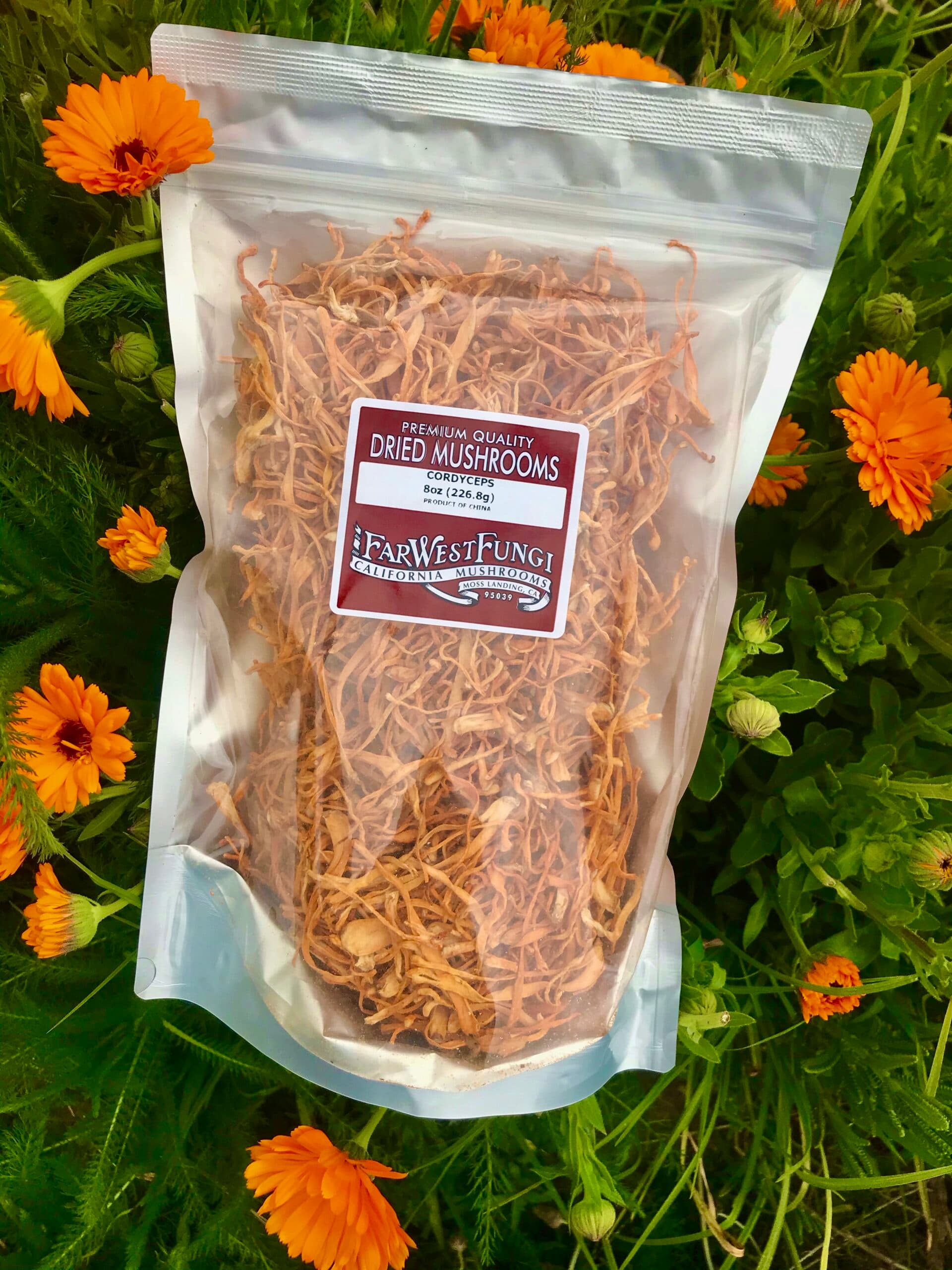 Product image #1