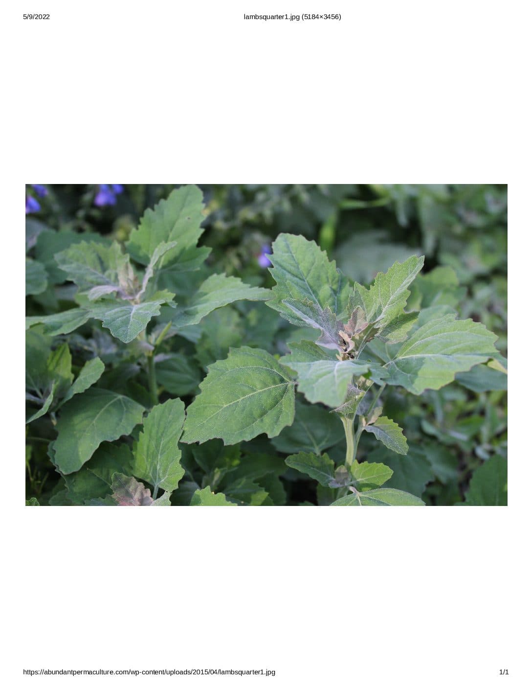 Product image #1