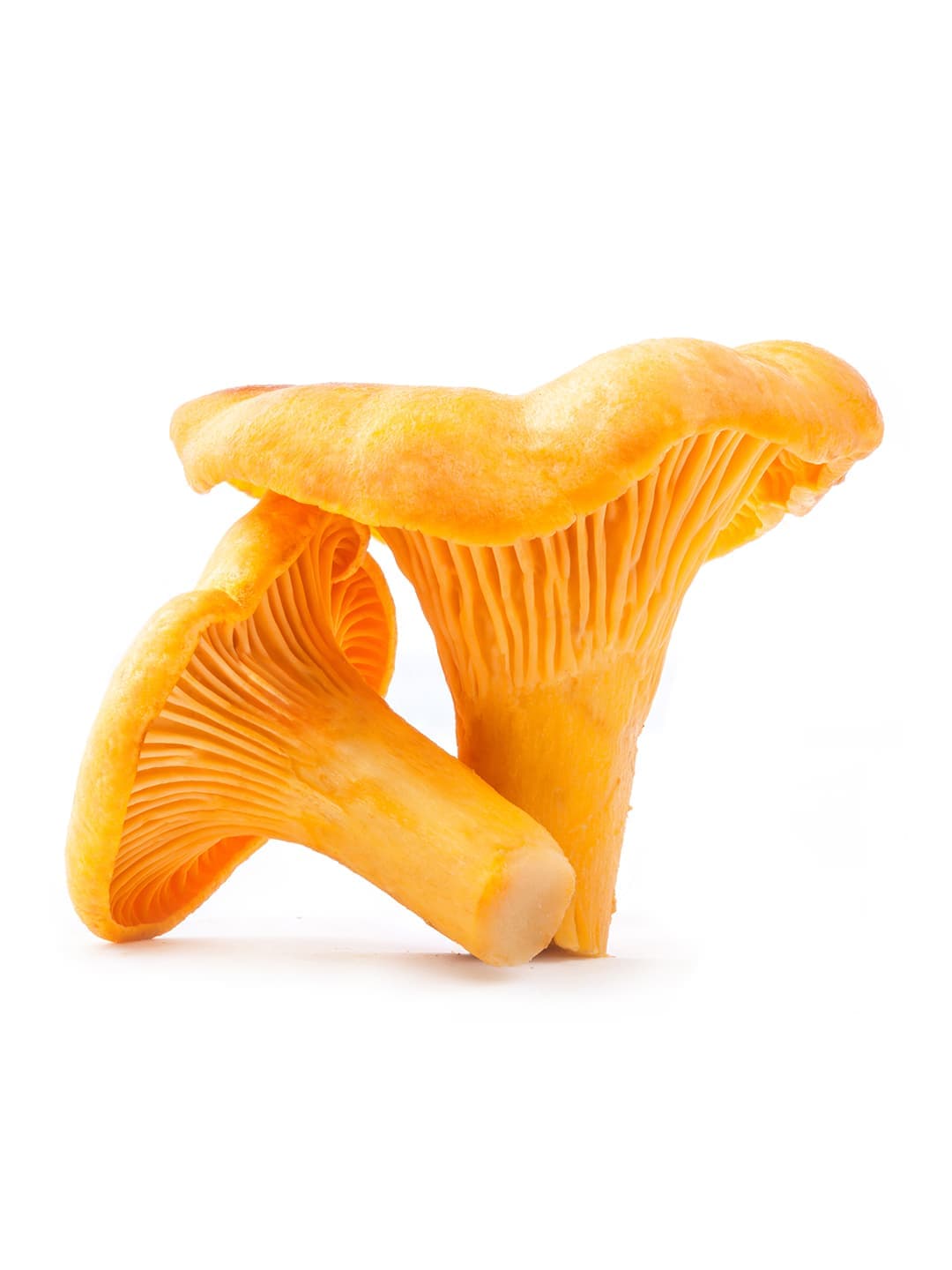 Product image #1