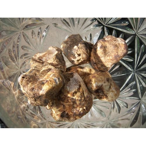 Product image #1