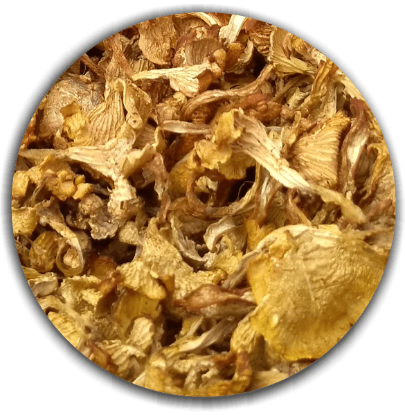 Product image #2