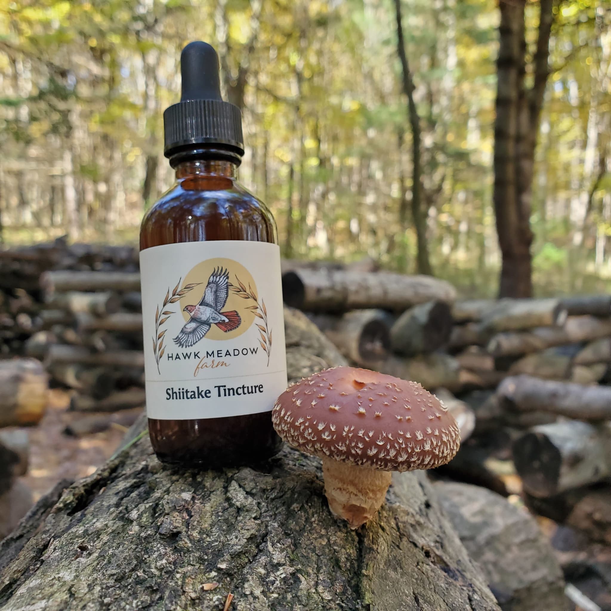 Product image #3