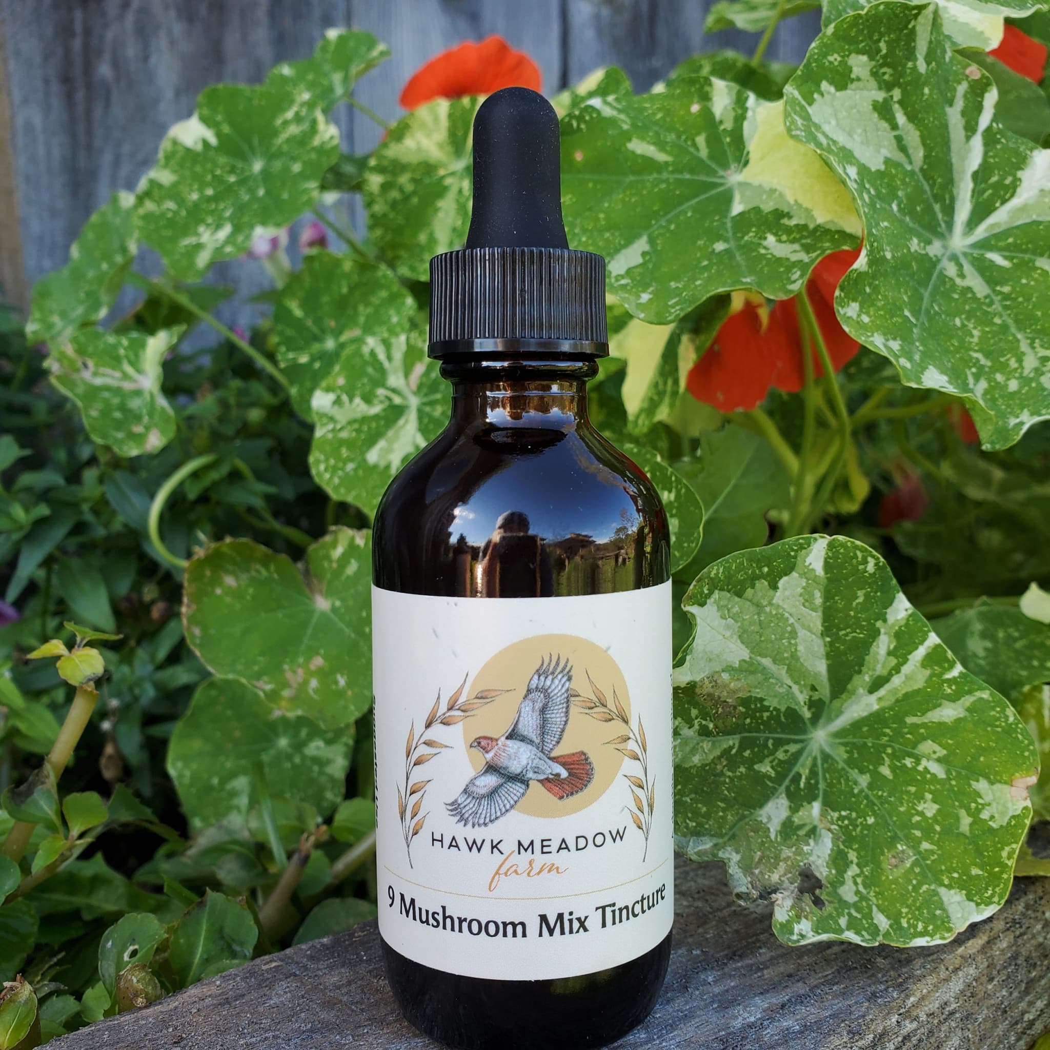 Product image #2