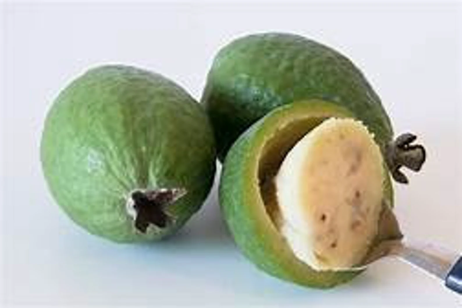 Product image #1