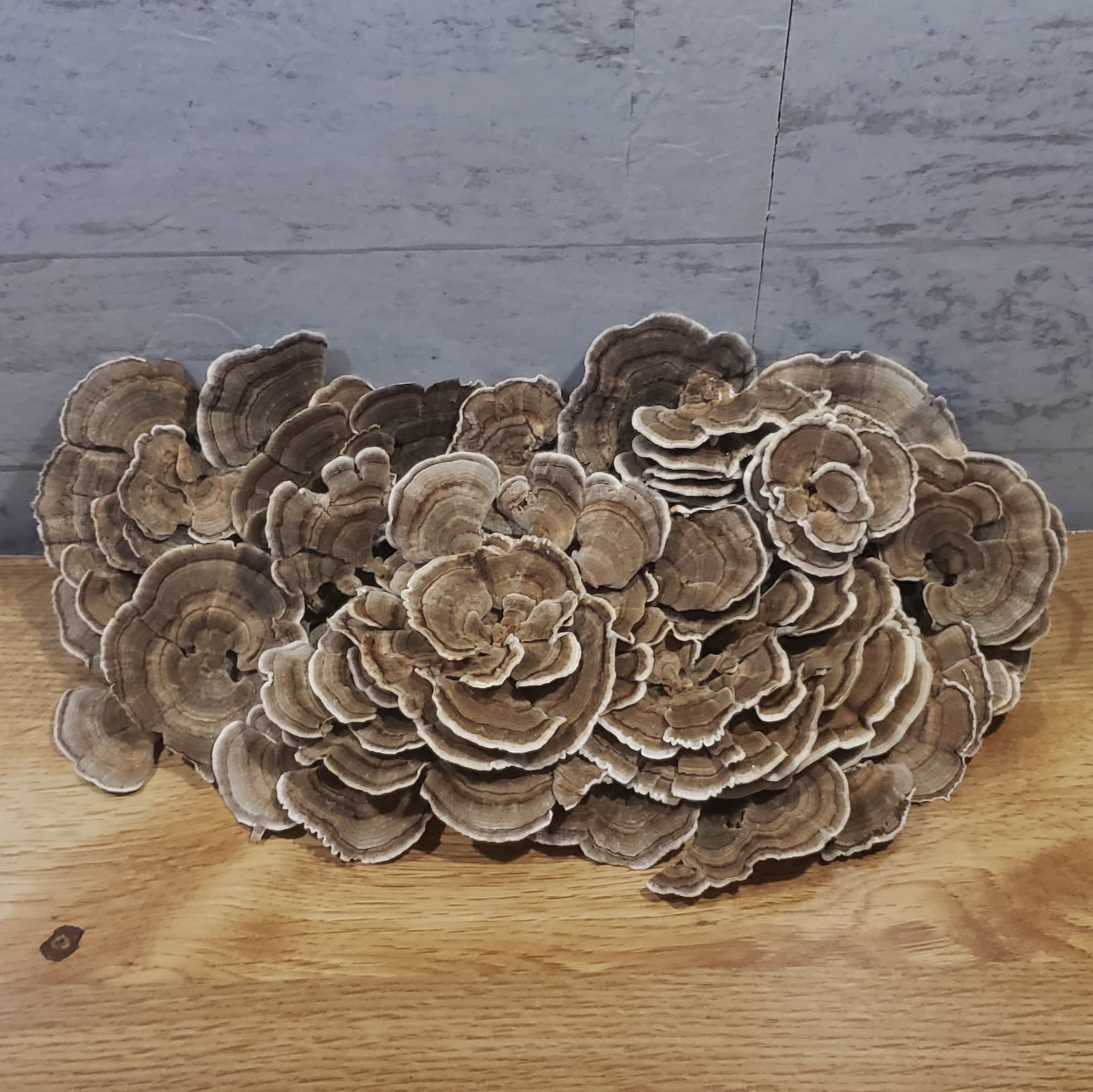 Product image #2