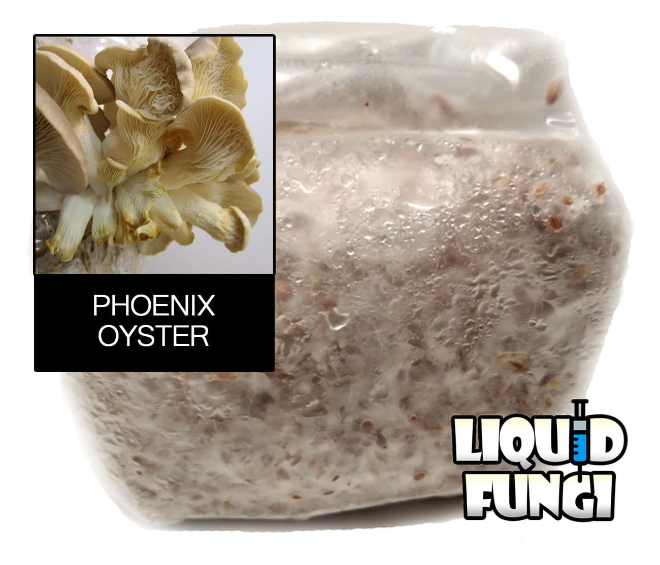 Product image #1