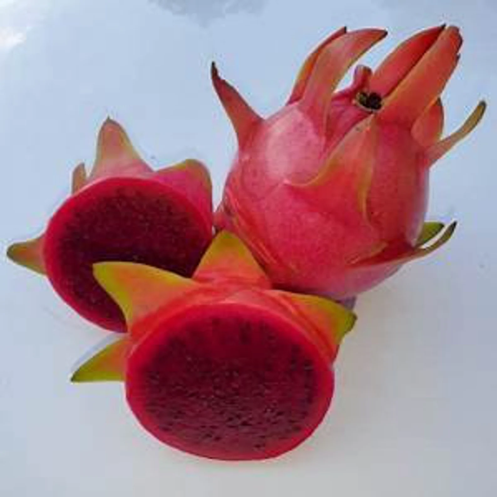 Product image #1