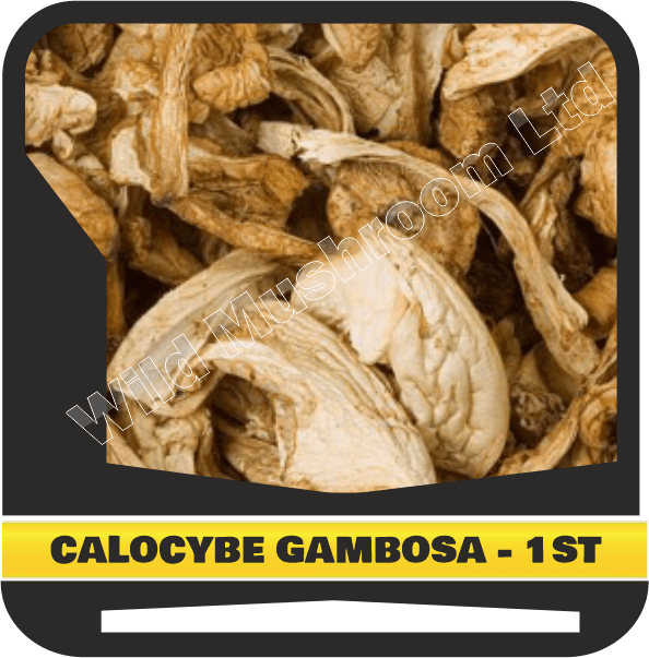 Product image #3