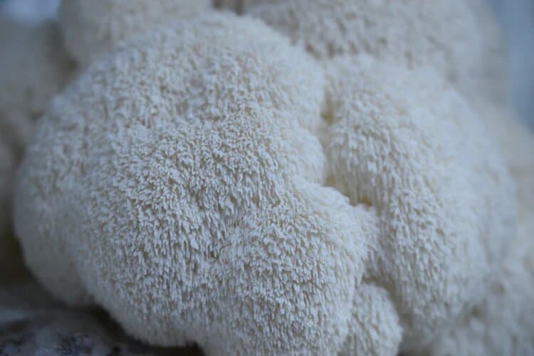 Product image #1