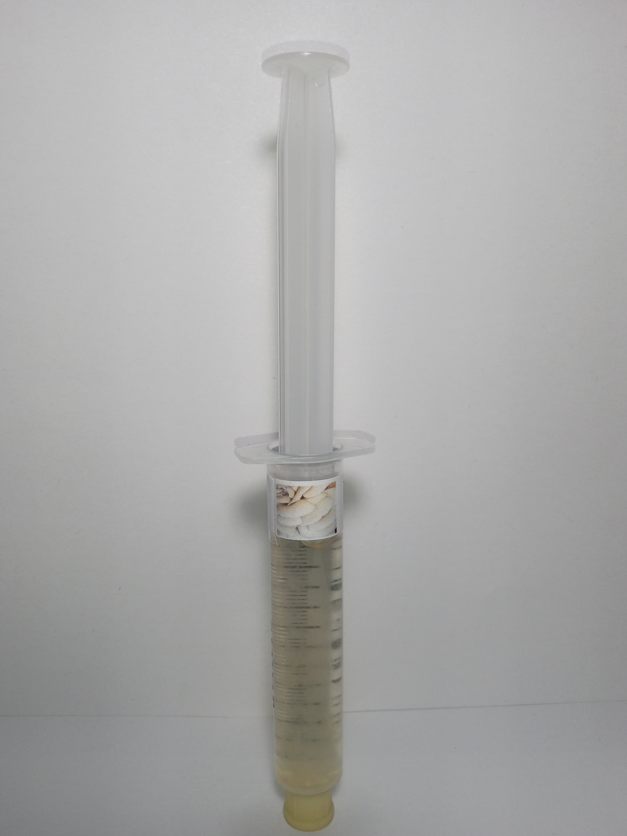 Product image #1