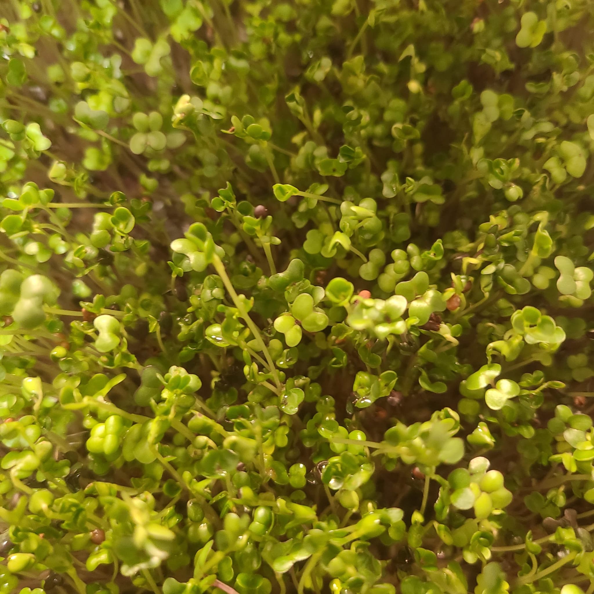 Product image #3