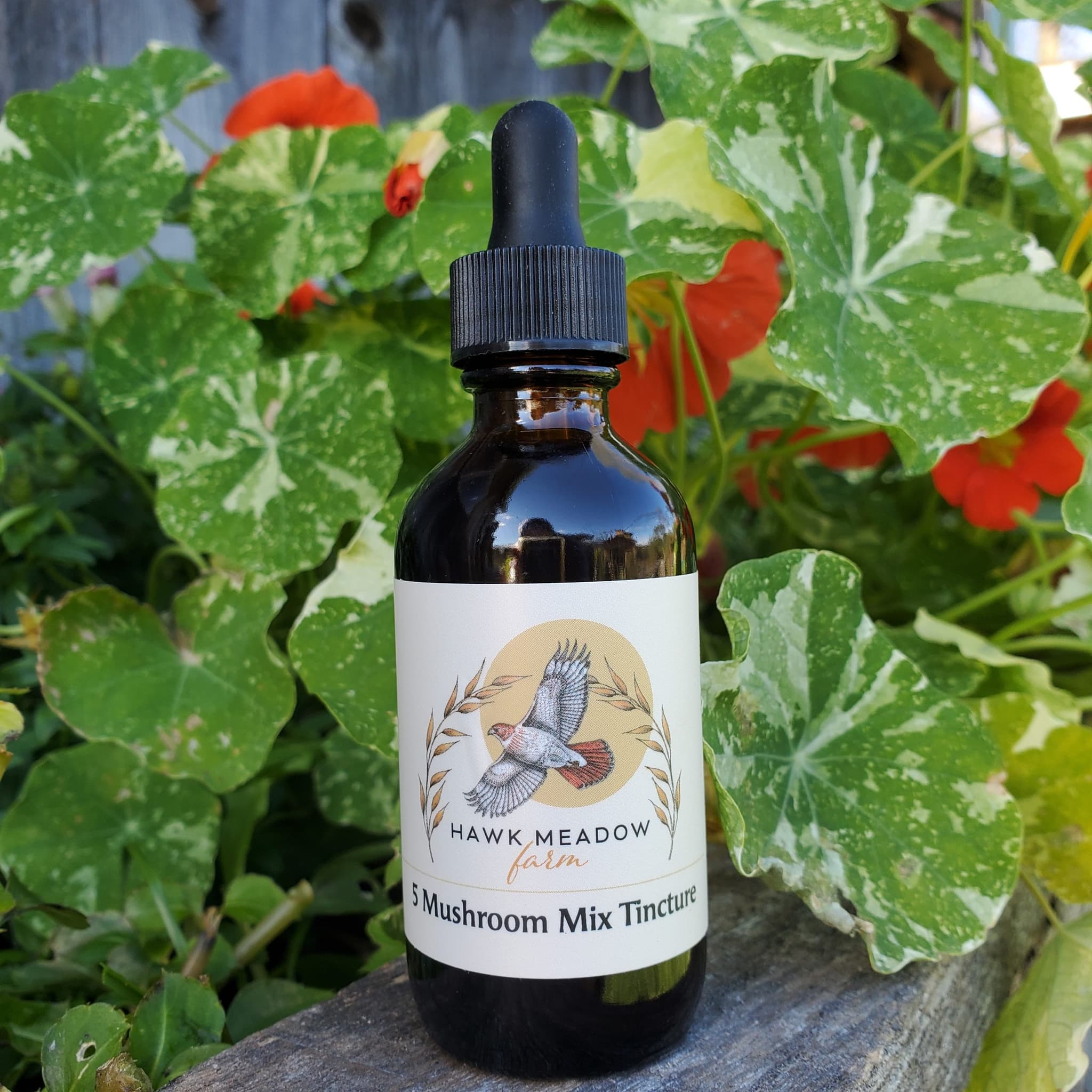 Product image #2