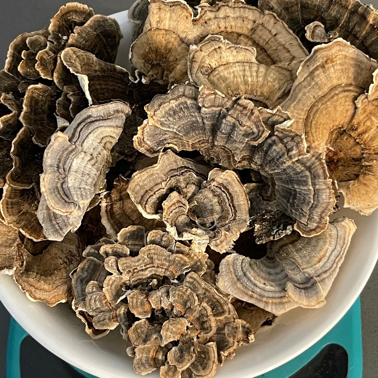 Product image #1