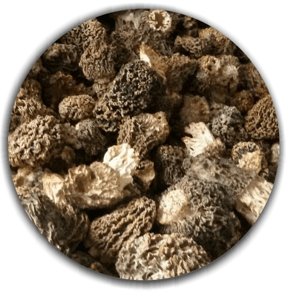 Product image #1