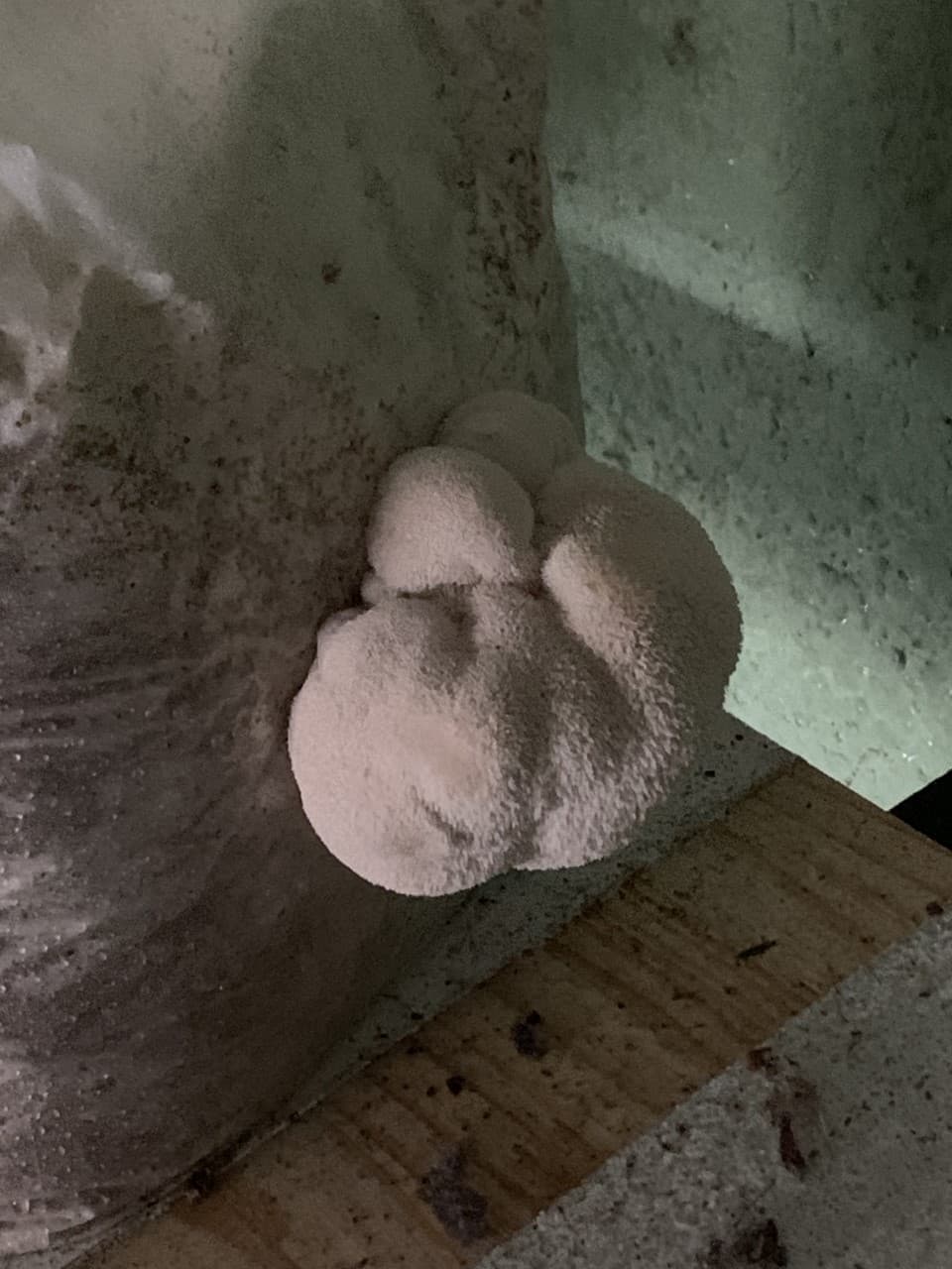 Product image #2