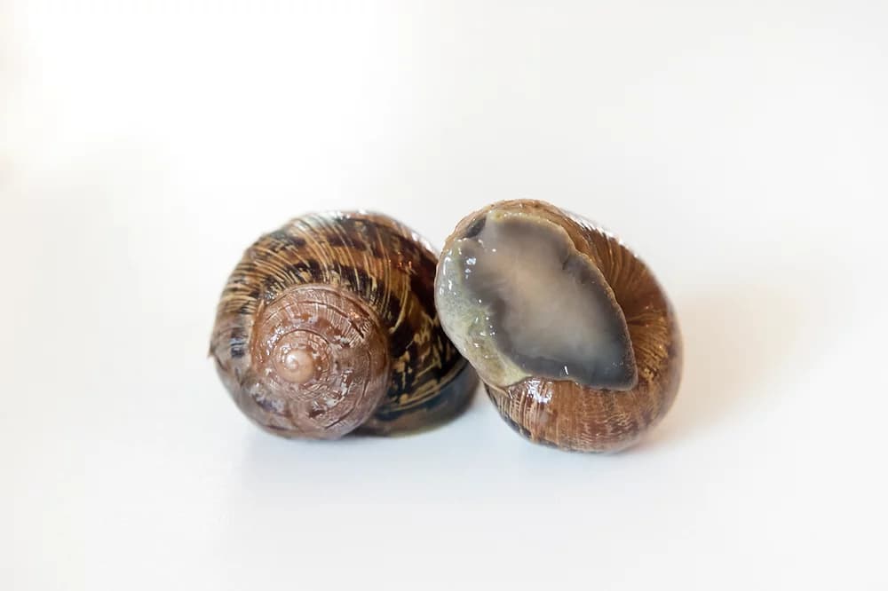 Product image #3