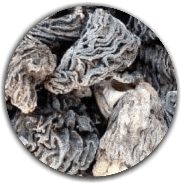 Product image #2