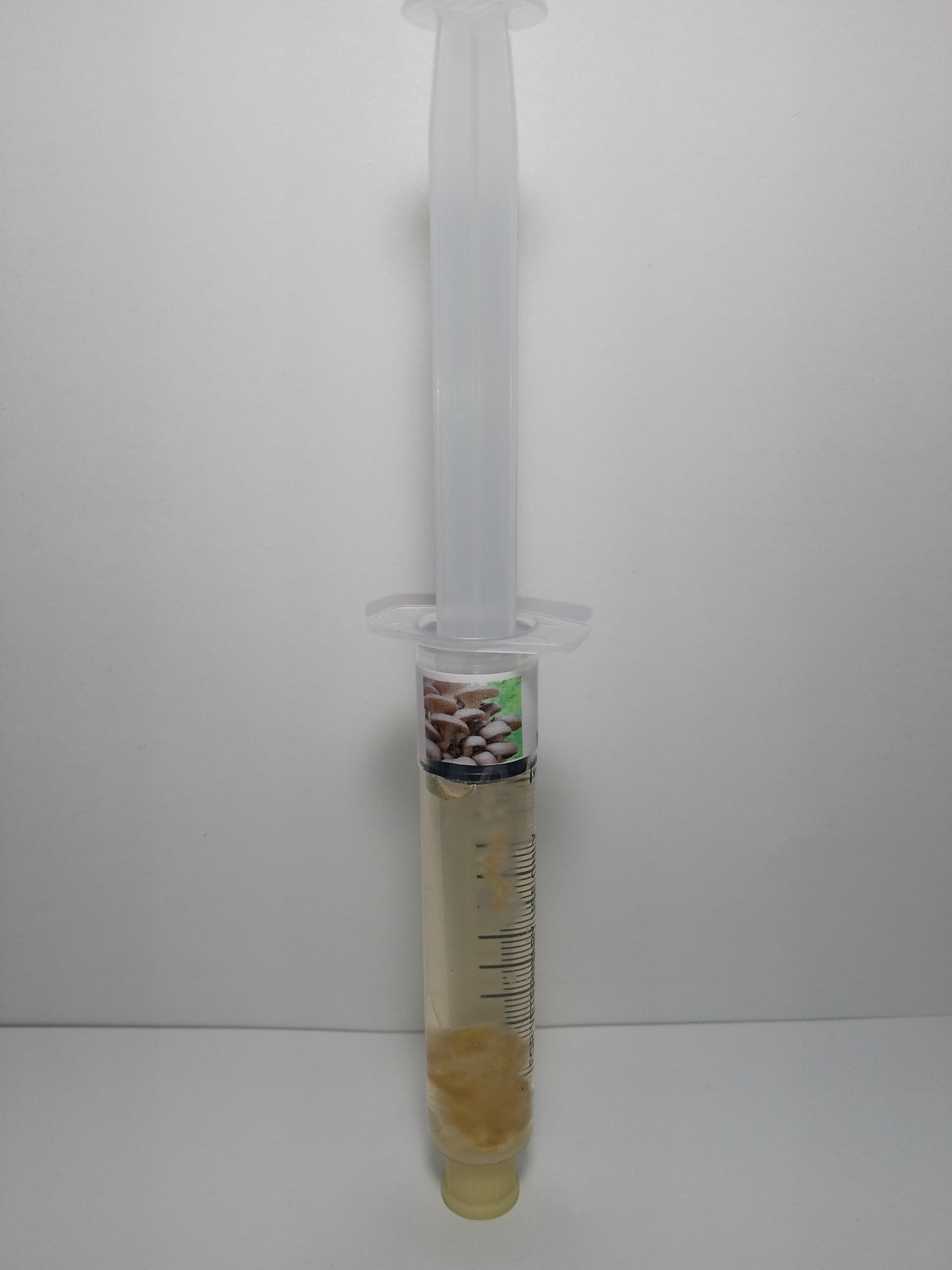 Product image #1
