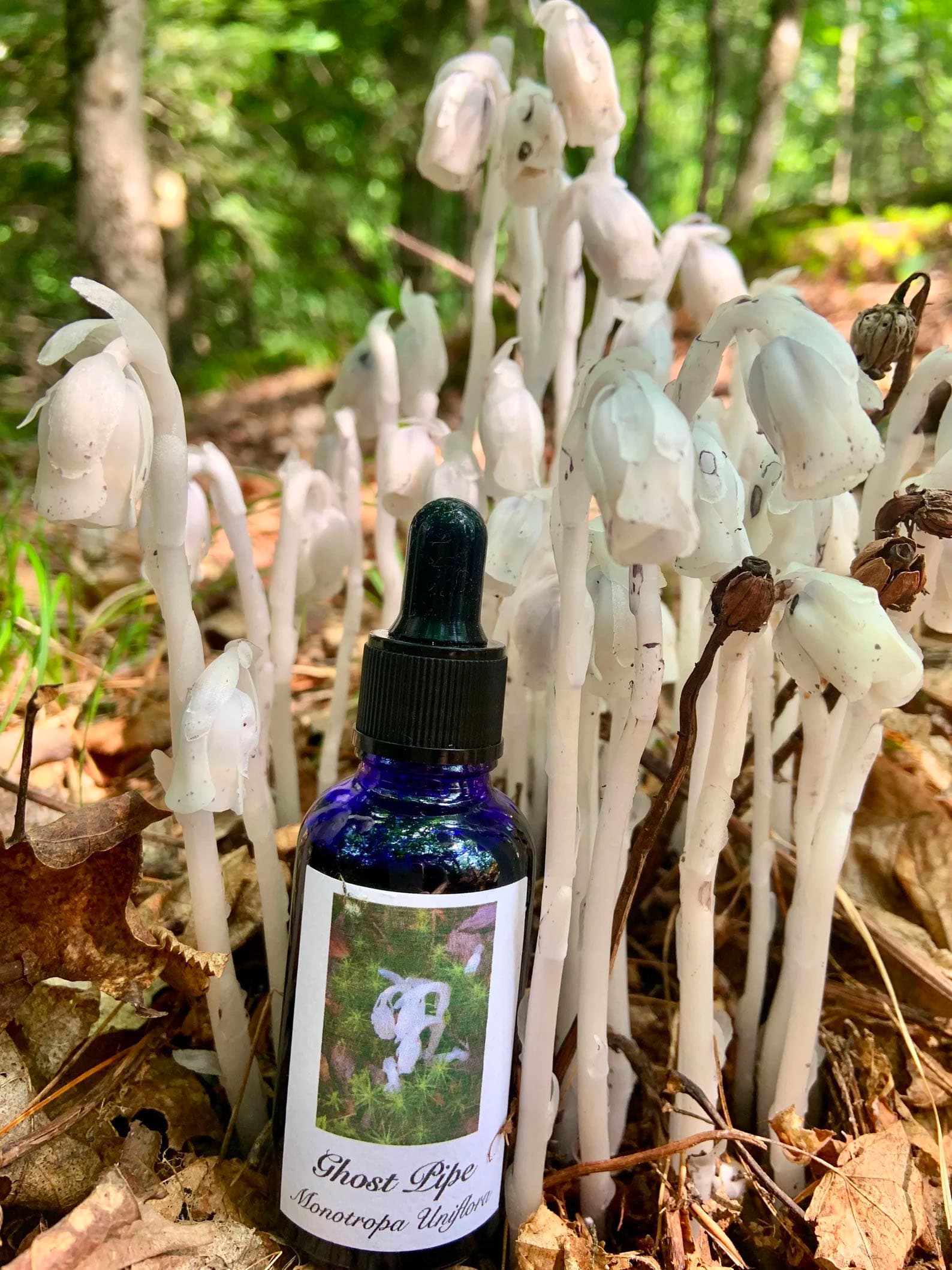 Product image #1