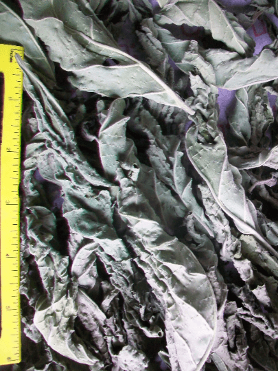 Product image #1