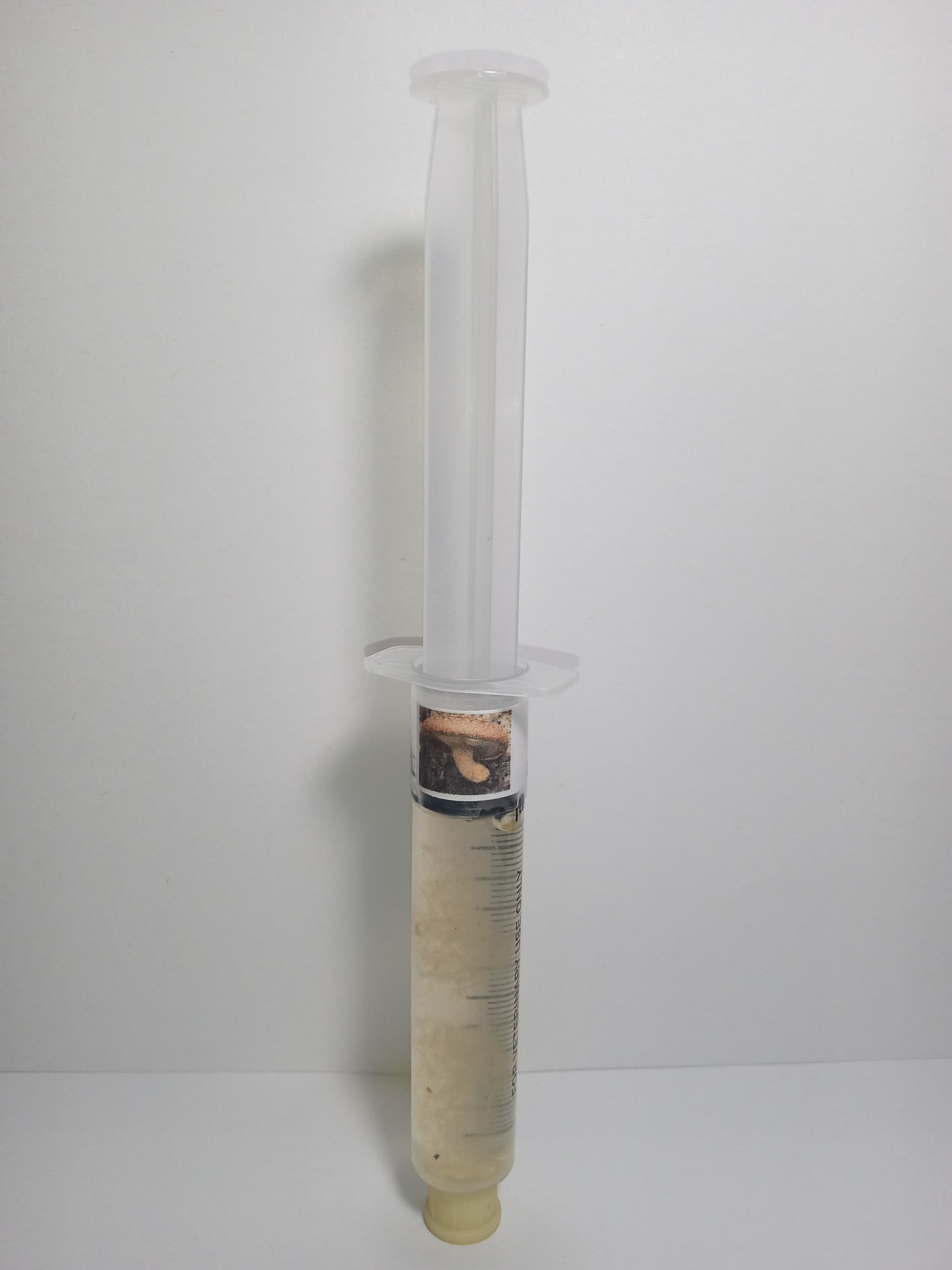 Product image #1