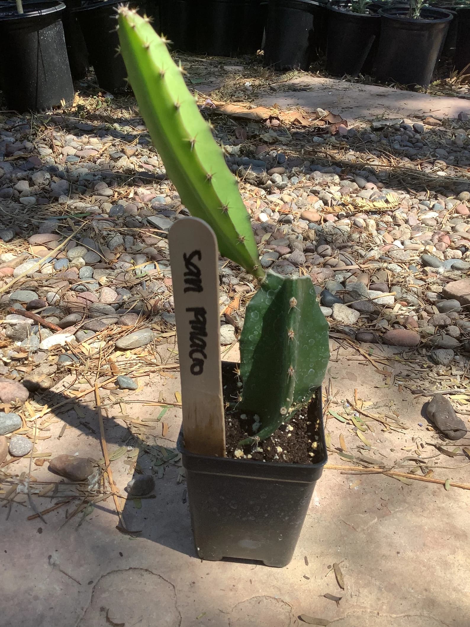 Product image #1
